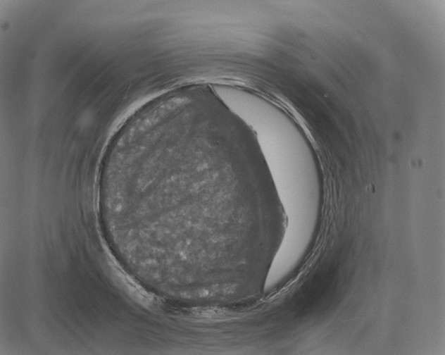 X0000083640795200703121718