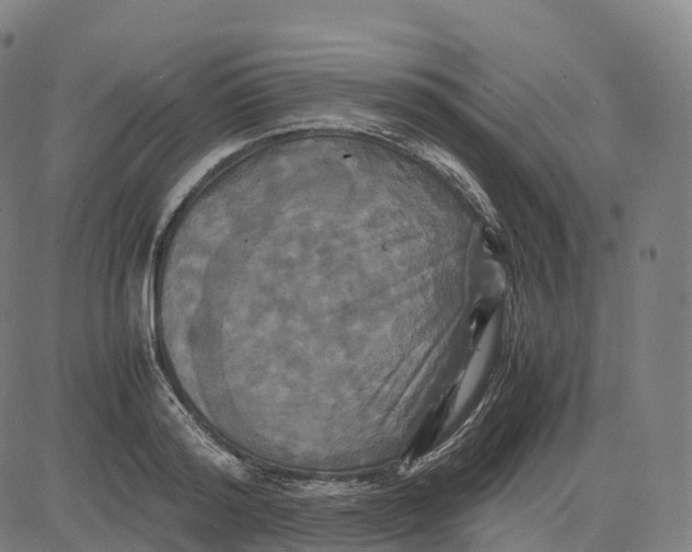 X0000083640796200703121718