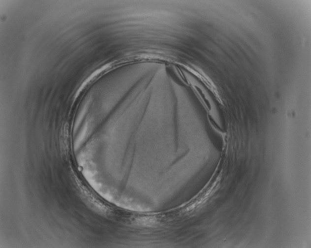 X0000083640798200703121718