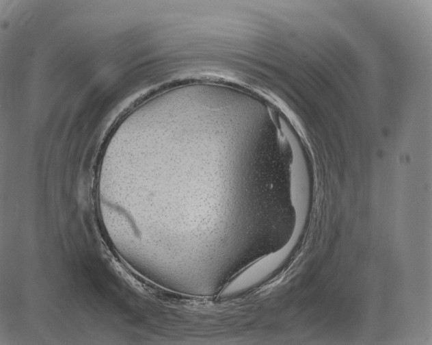 X0000083640799200703121718