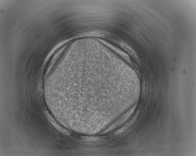 X0000083640800200703121718