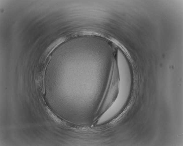 X0000083640801200703121718