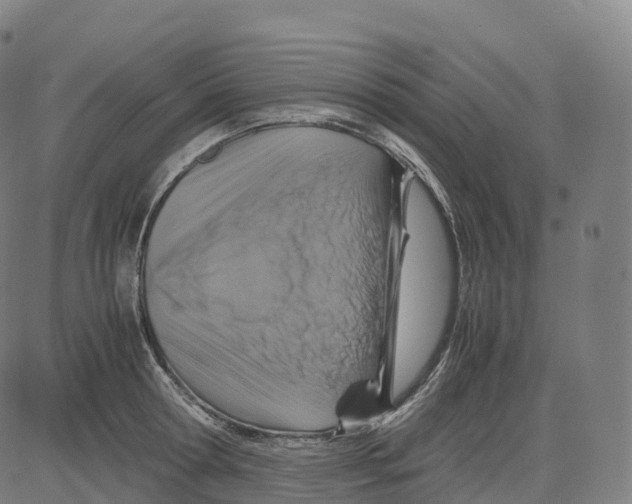 X0000083640802200703121718