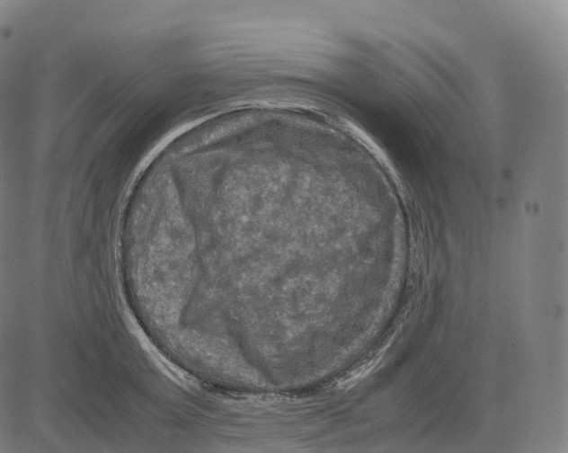 X0000083640803200703121718