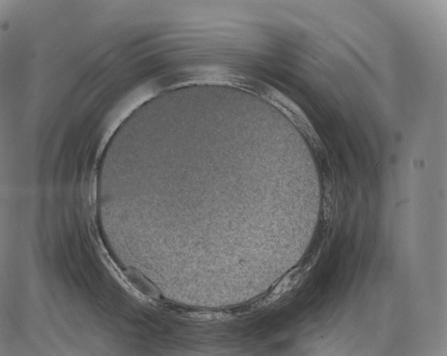 X0000083640804200703121718