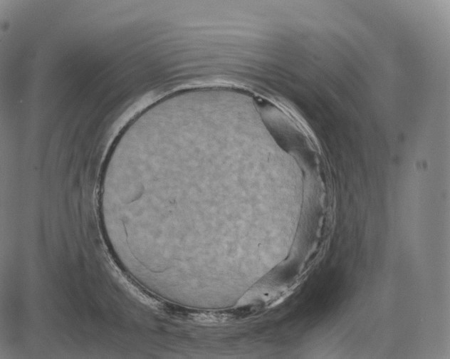 X0000083640805200703121718