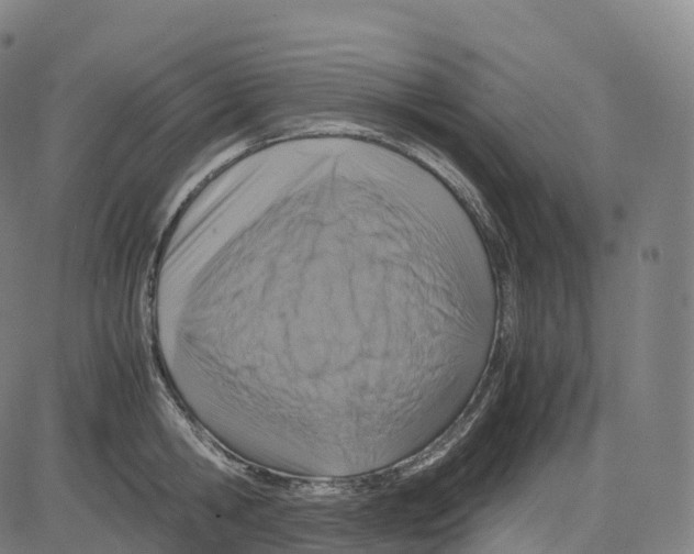 X0000083640806200703121718