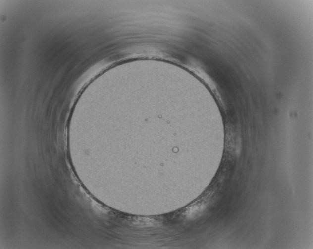 X0000083640807200703121718