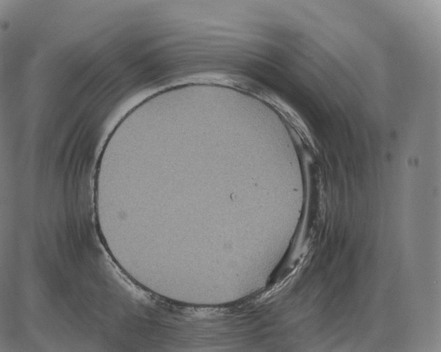 X0000083640808200703121718