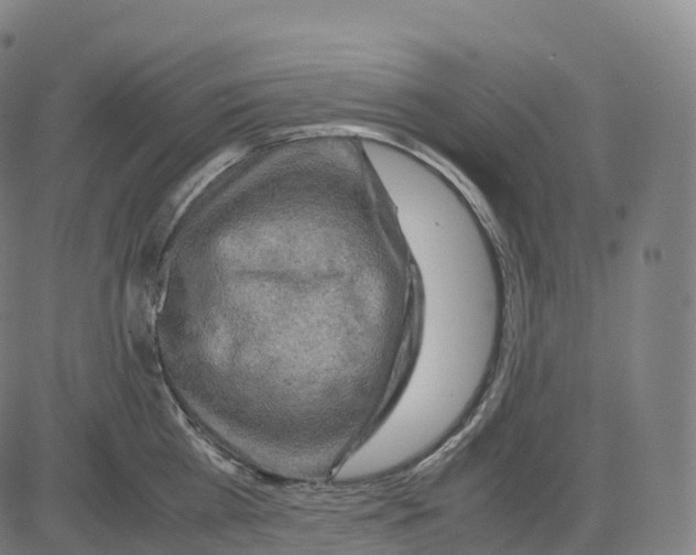 X0000083640809200703121718