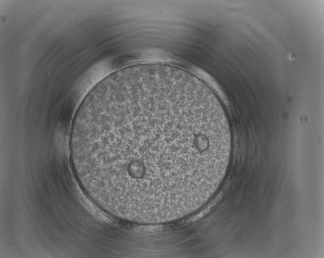 X0000083640810200703121718