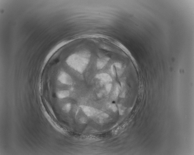 X0000083640811200703121718