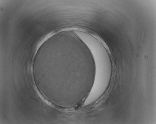 X0000083640813200703121718