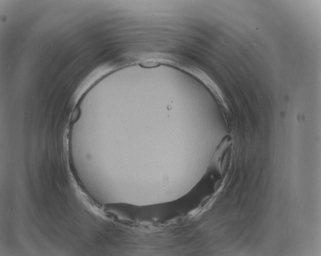 X0000083640814200703121718