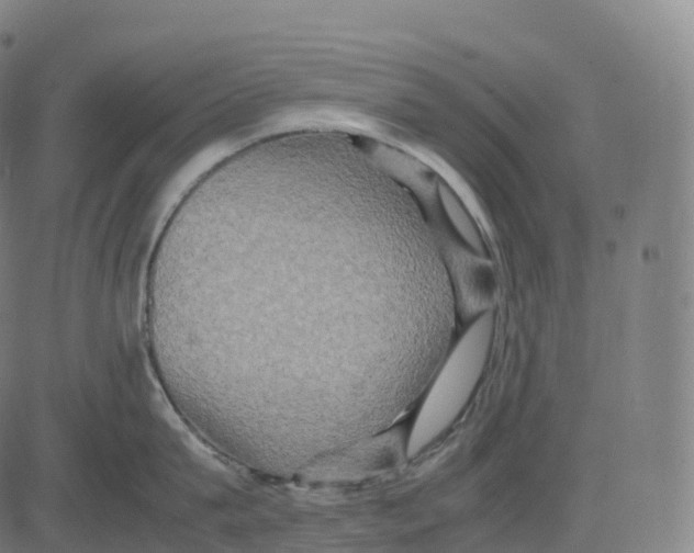 X0000083640815200703121718