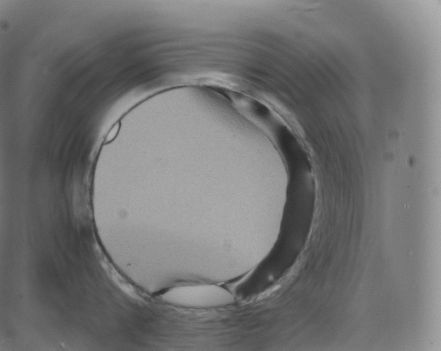 X0000083640816200703121718