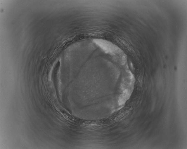 X0000083640817200703121717