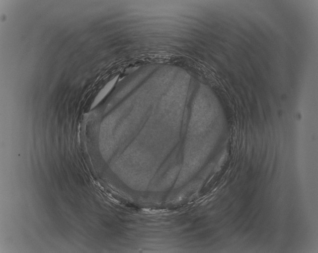 X0000083640818200703121717