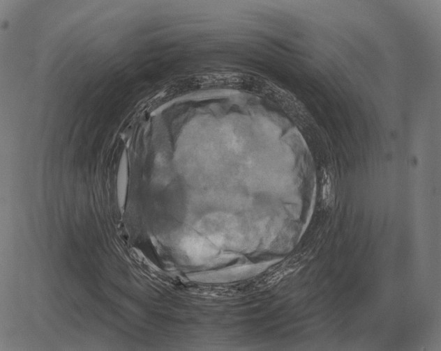 X0000083640819200703121717