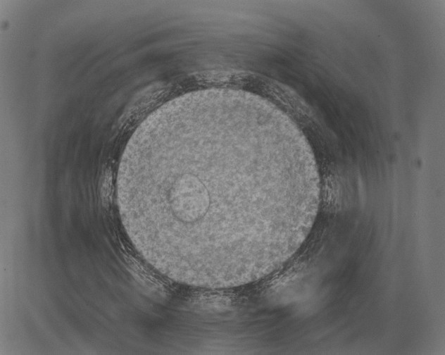 X0000083640820200703121717