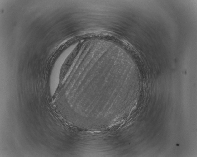 X0000083640822200703121717