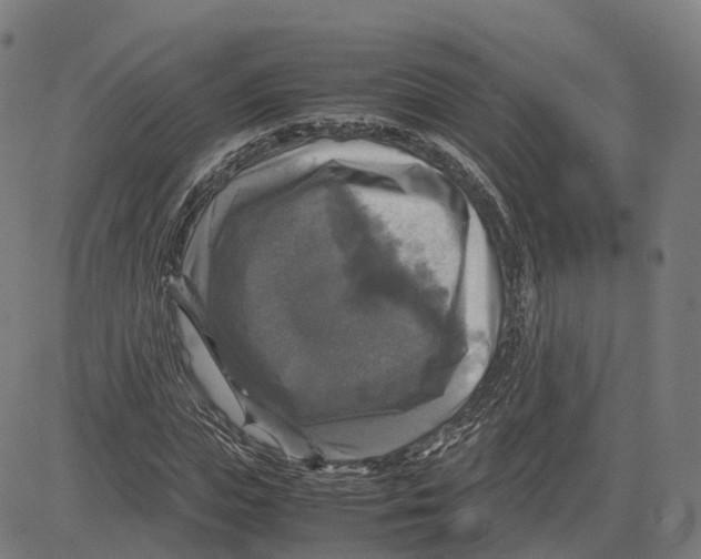 X0000083640823200703121717