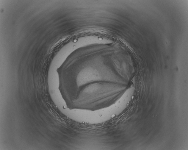 X0000083640824200703121717