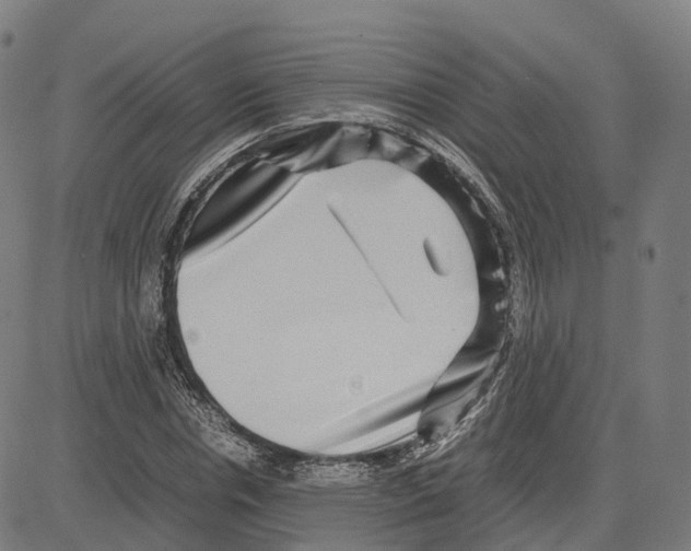 X0000083640826200703121717