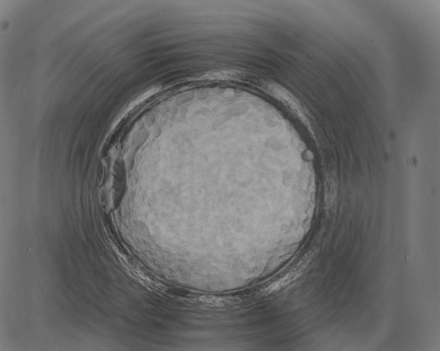 X0000083640827200703121717