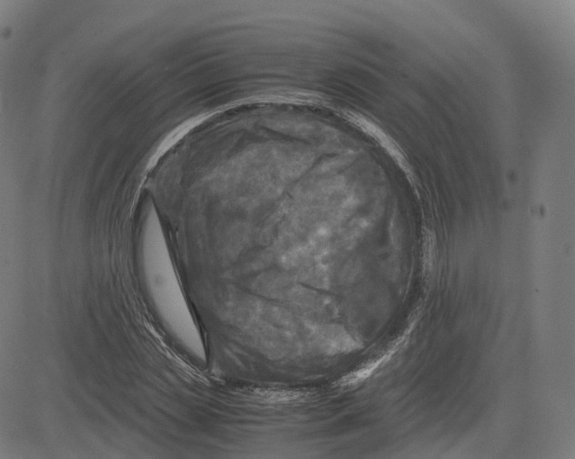 X0000083640829200703121717