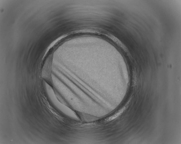 X0000083640830200703121717