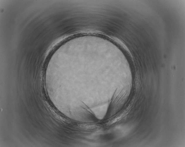 X0000083640831200703121717