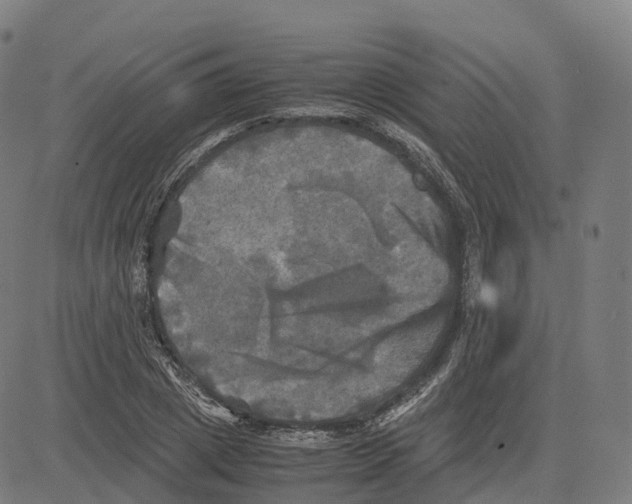 X0000083640833200703121717