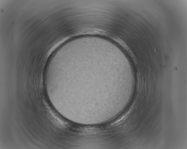 X0000083640834200703121717