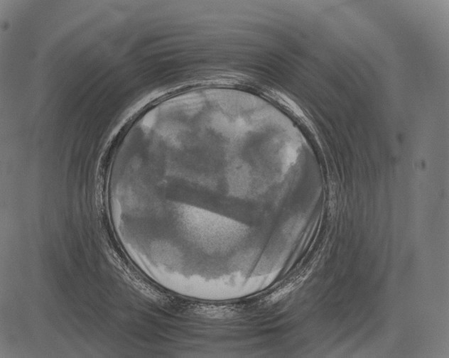 X0000083640835200703121717