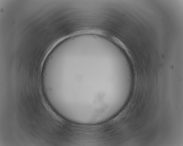 X0000083640836200703121717