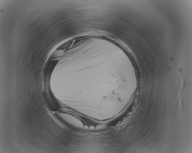 X0000083640838200703121717