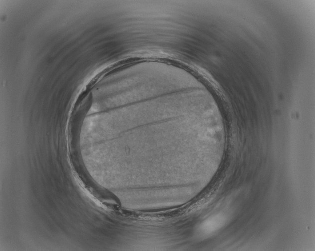 X0000083640840200703121717