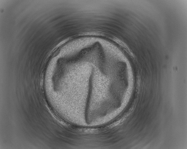 X0000083640841200703121717