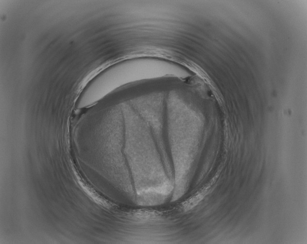 X0000083640842200703121717