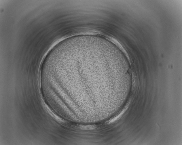 X0000083640843200703121717