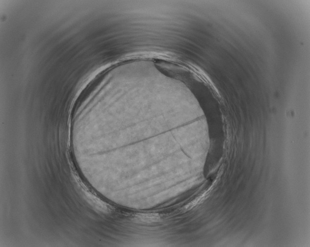 X0000083640844200703121717