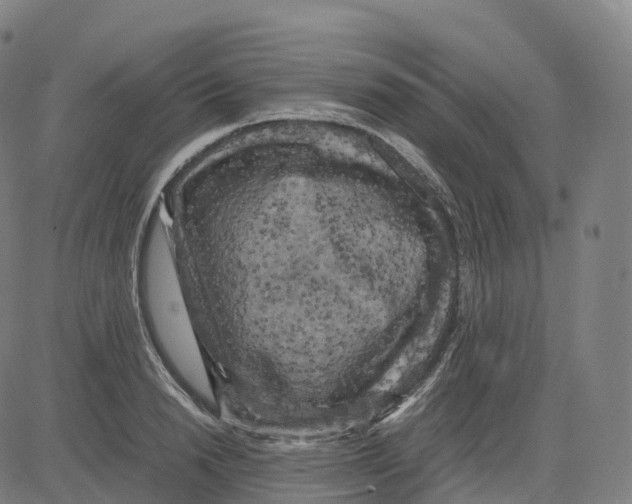 X0000083640846200703121717