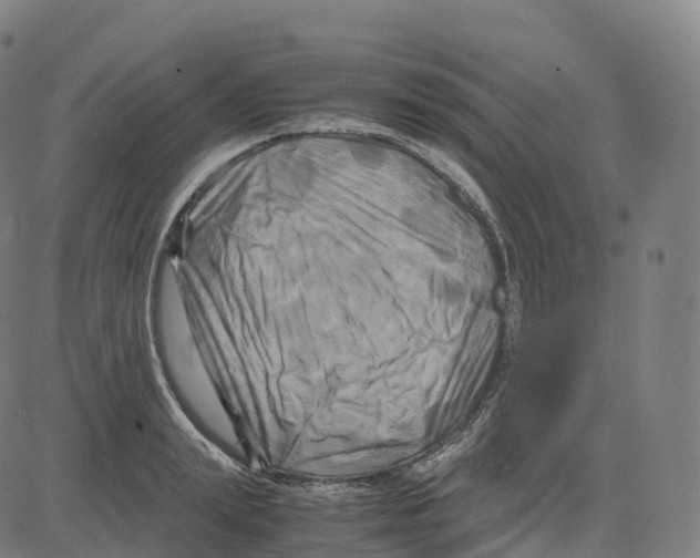 X0000083640847200703121718