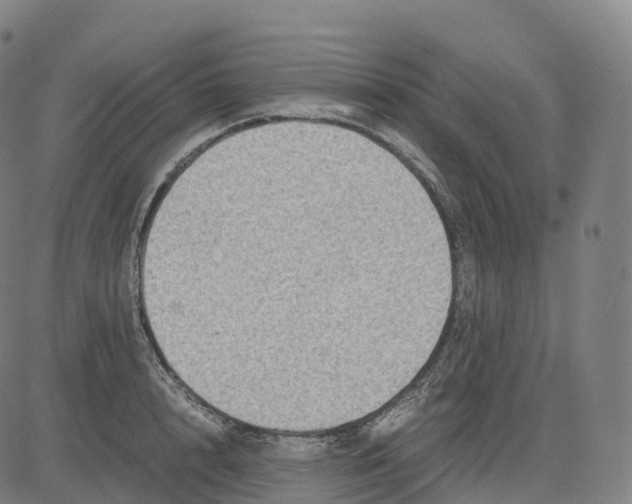 X0000083640848200703121718