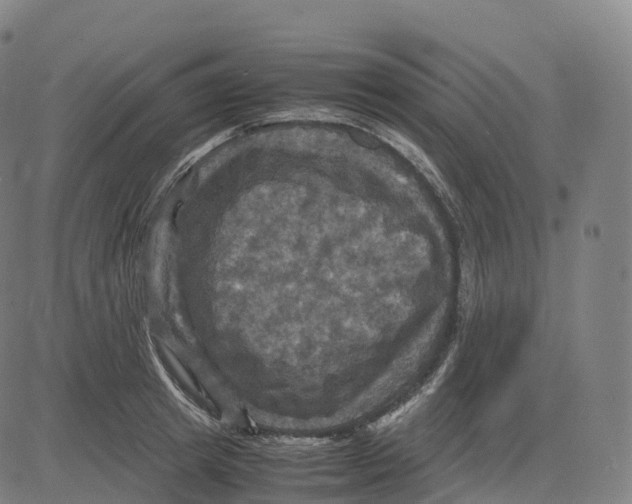 X0000083640849200703121718