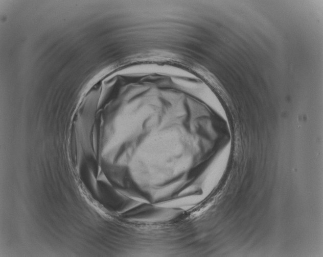 X0000083640850200703121718