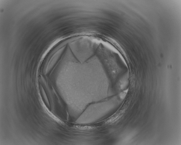 X0000083640851200703121718