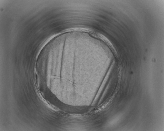 X0000083640852200703121718