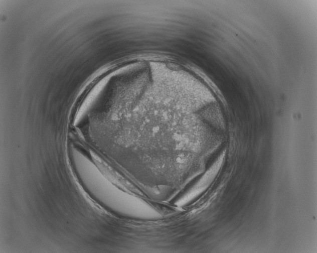 X0000083640853200703121718